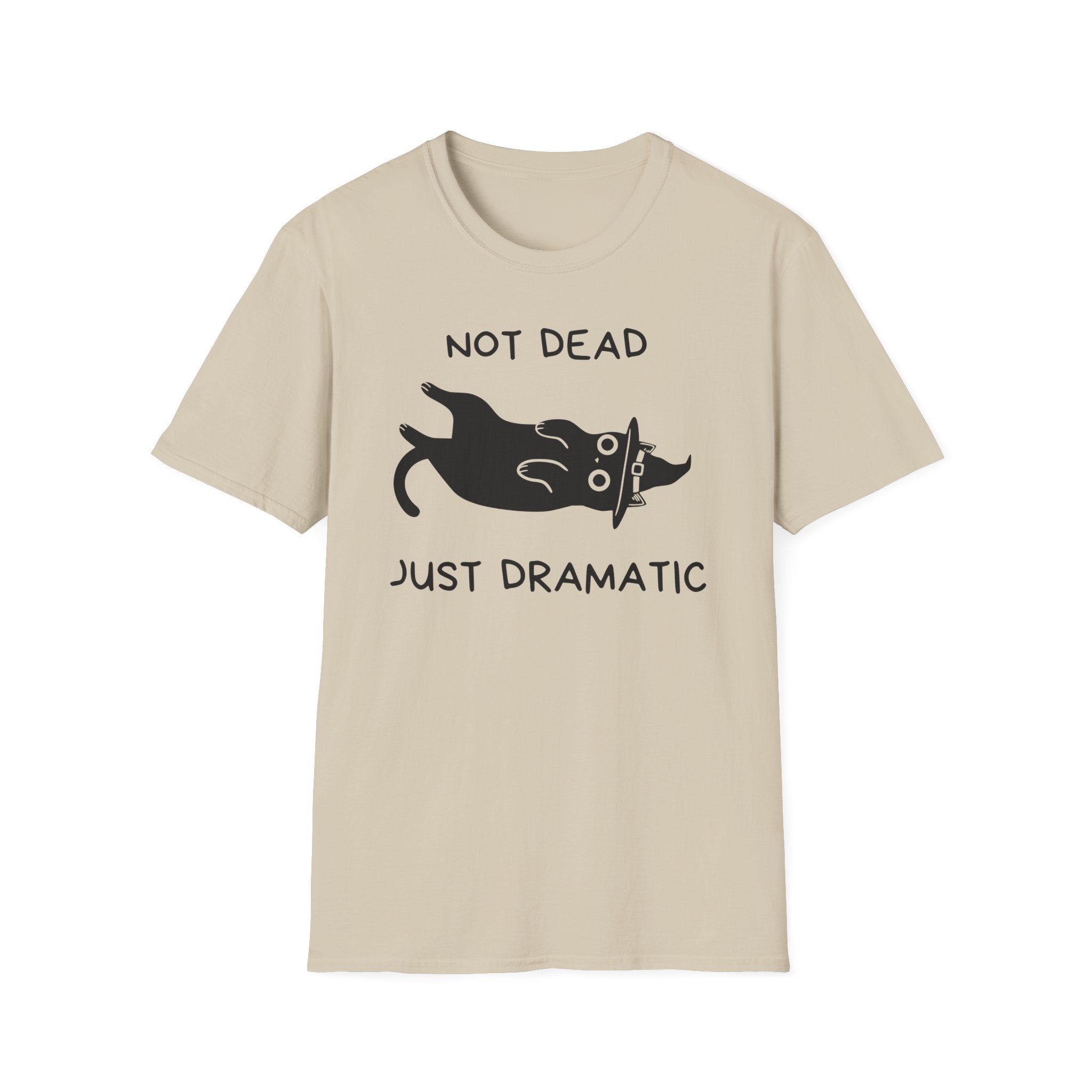 Dramatic Witch Cat T-Shirt